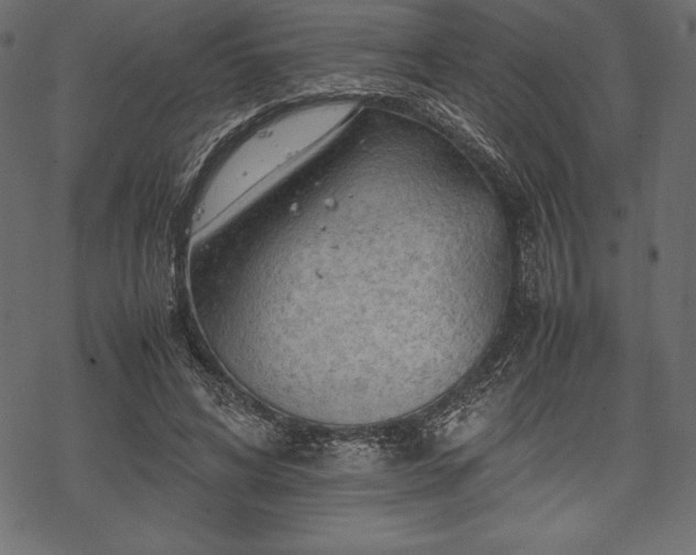 X0000070190592200605301314