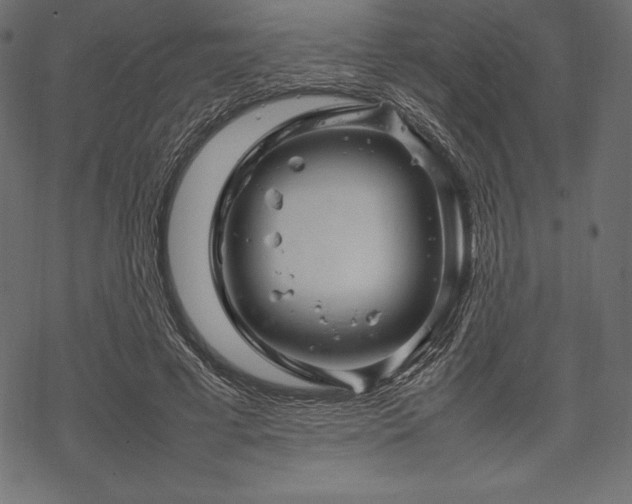 X0000070190593200605301314