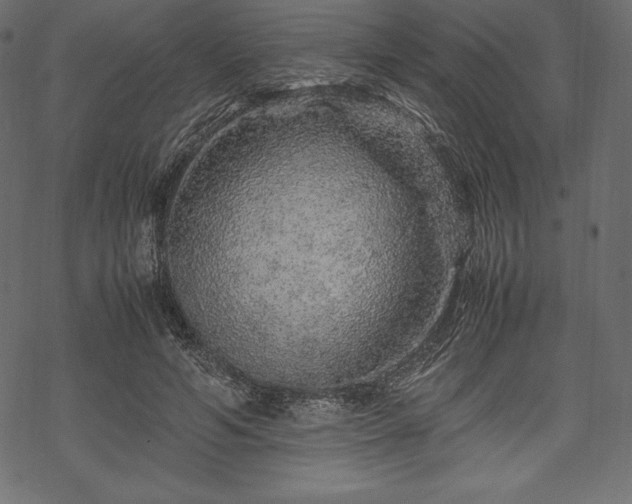 X0000070190594200605301314