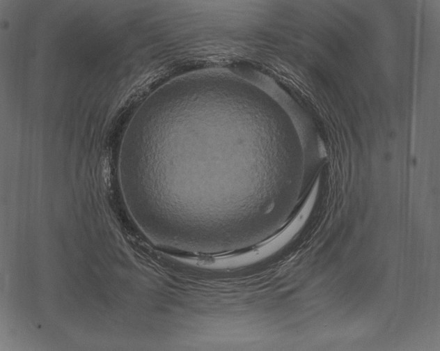 X0000070190595200605301314