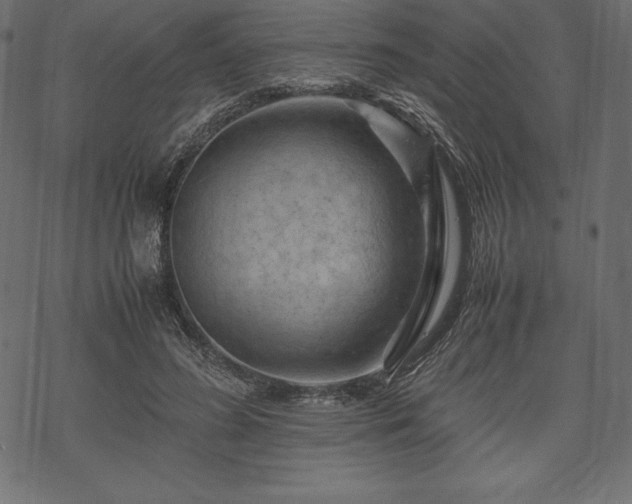 X0000070190596200605301314