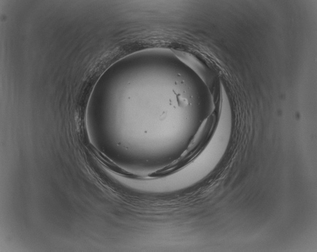 X0000070190597200605301314