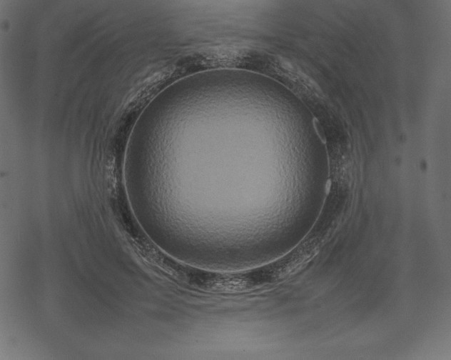 X0000070190599200605301314