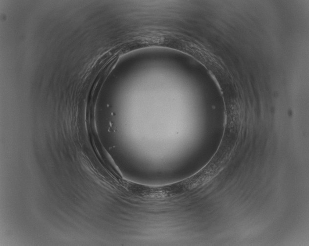 X0000070190600200605301314