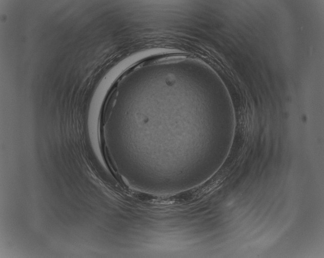 X0000070190602200605301314