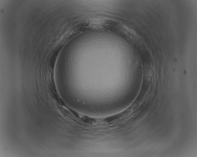 X0000070190603200605301314