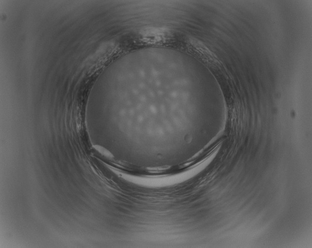 X0000070190606200605301314