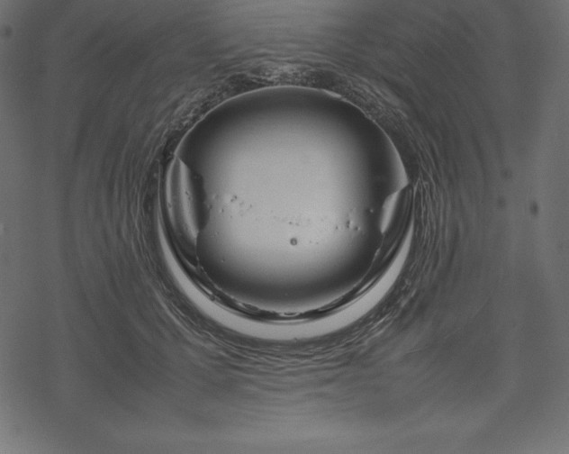 X0000070190607200605301314