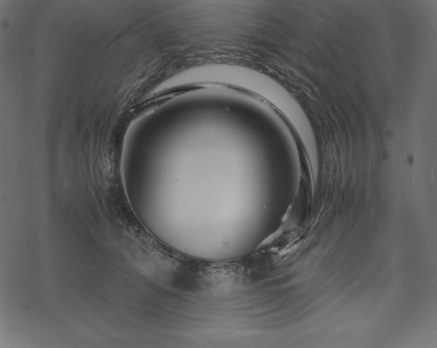 X0000070190608200605301314