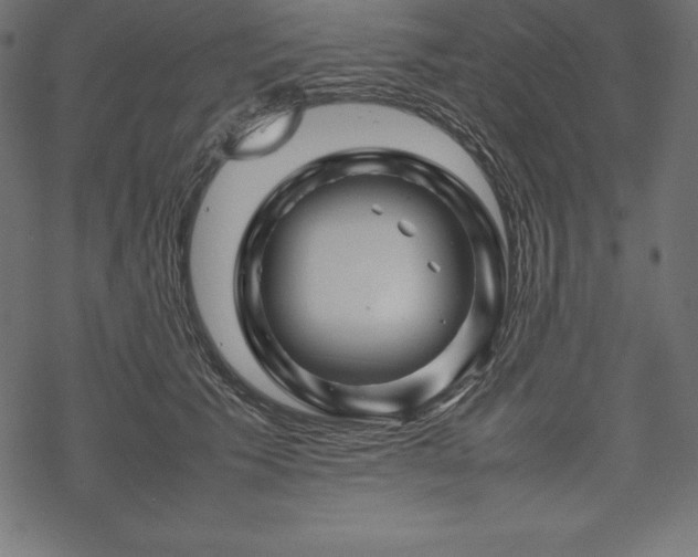 X0000070190609200605301314