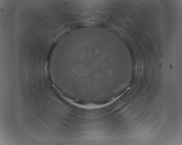 X0000070190610200605301314