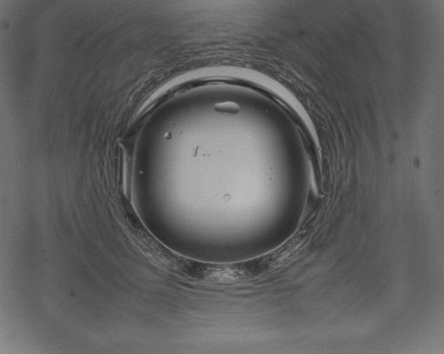 X0000070190611200605301314