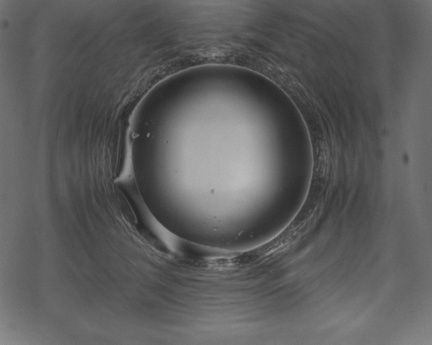 X0000070190612200605301314