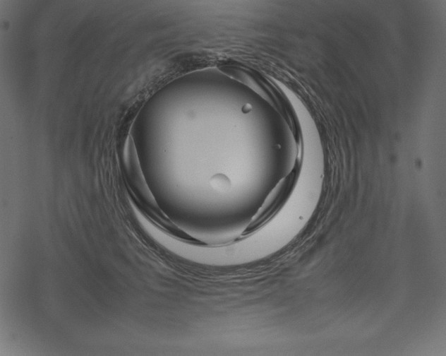 X0000070190613200605301314