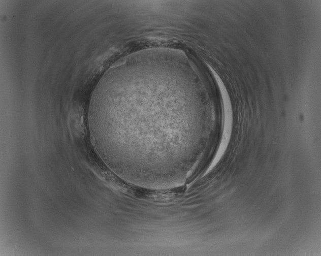 X0000070190615200605301314