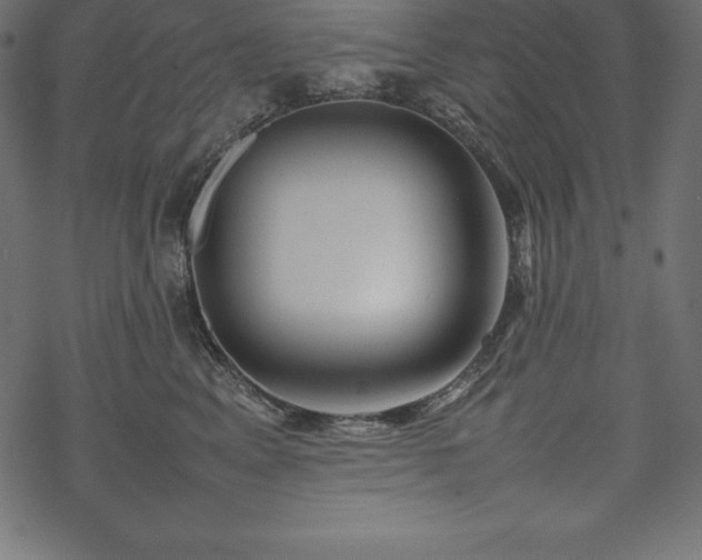 X0000070190617200605301314