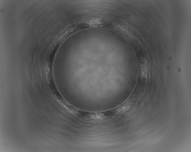 X0000070190618200605301314