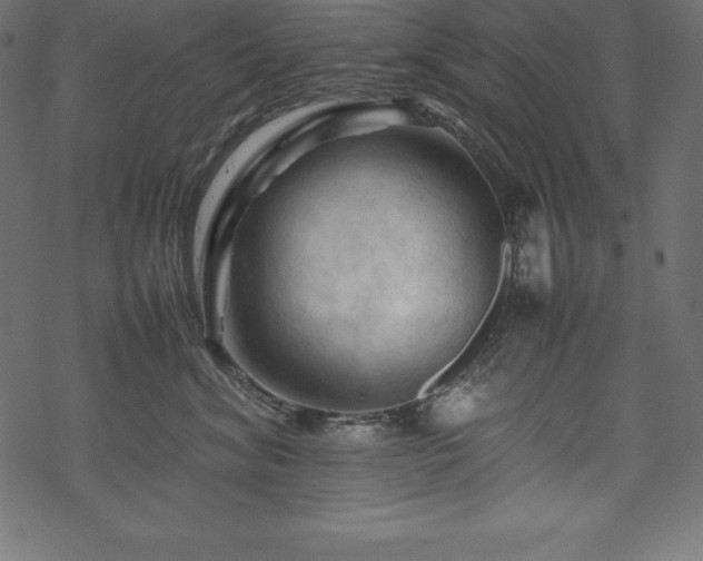 X0000070190620200605301314