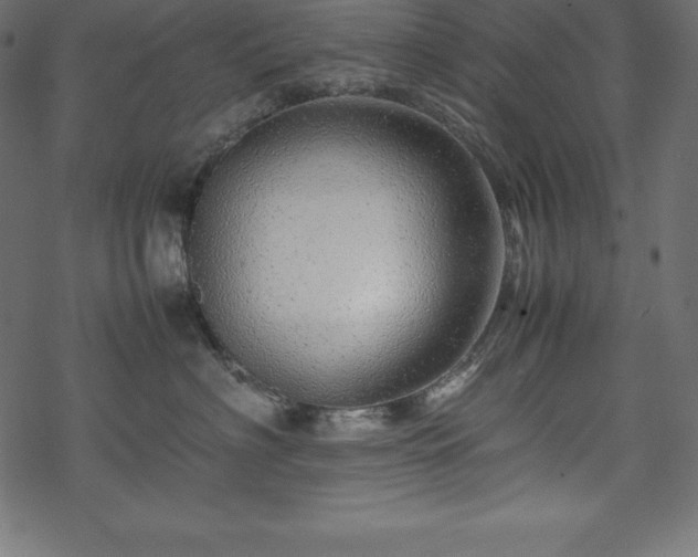 X0000070190622200605301314