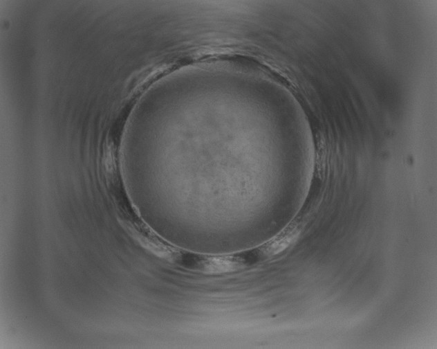 X0000070190623200605301314