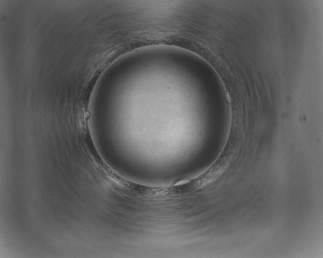 X0000070190624200605301314