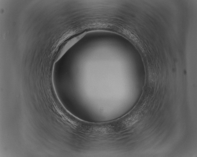 X0000070190625200605301313