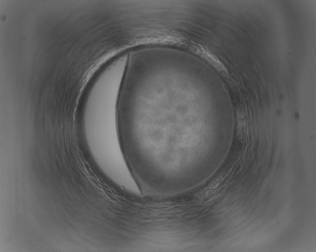 X0000070190628200605301313