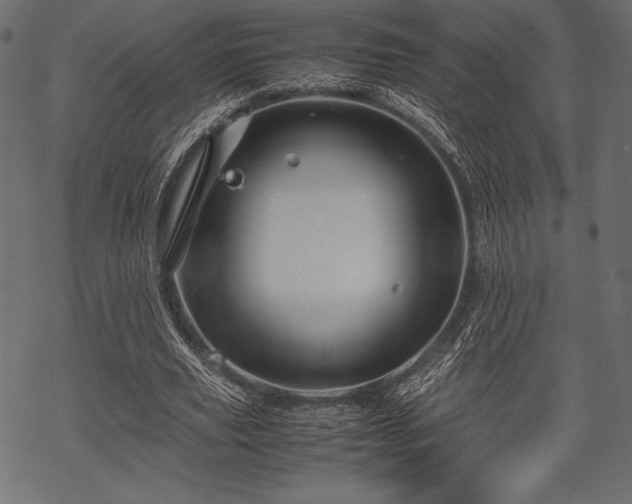 X0000070190629200605301313