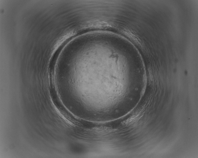 X0000070190630200605301313