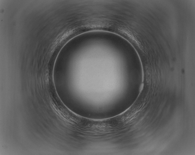 X0000070190631200605301313