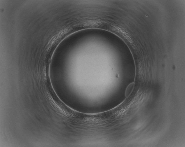 X0000070190633200605301313