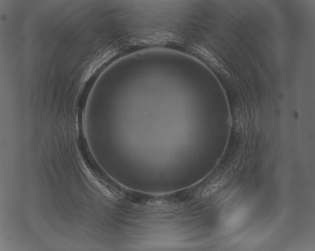 X0000070190634200605301313