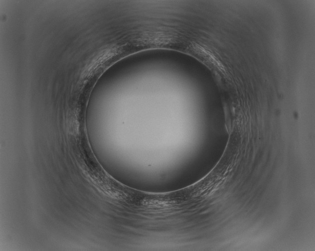 X0000070190635200605301313