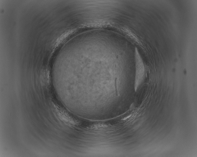 X0000070190636200605301313