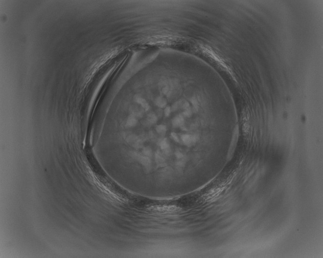 X0000070190637200605301313