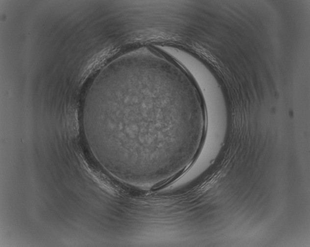 X0000070190638200605301313