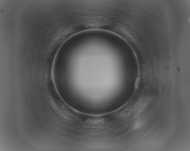 X0000070190639200605301313