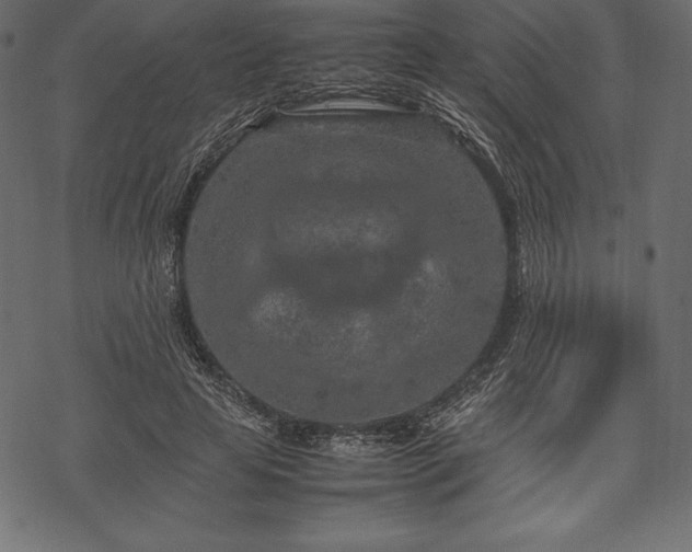 X0000070190641200605301313