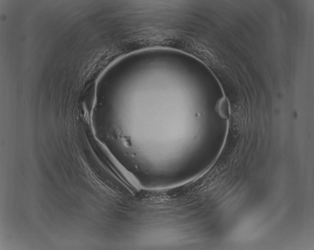 X0000070190642200605301313