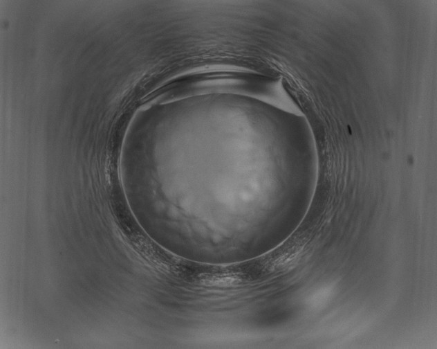 X0000070190643200605301313