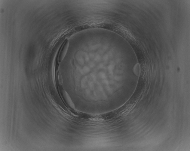 X0000070190644200605301313