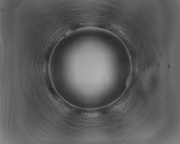 X0000070190645200605301313