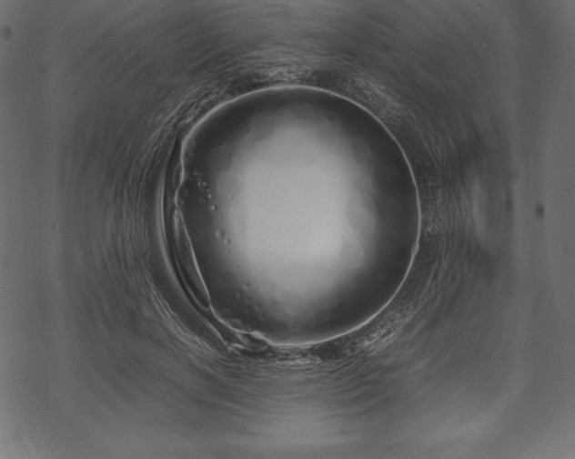 X0000070190646200605301314