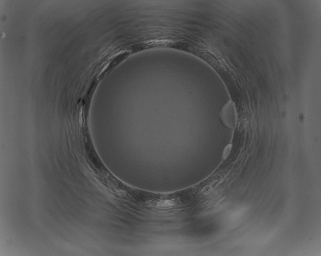 X0000070190647200605301314