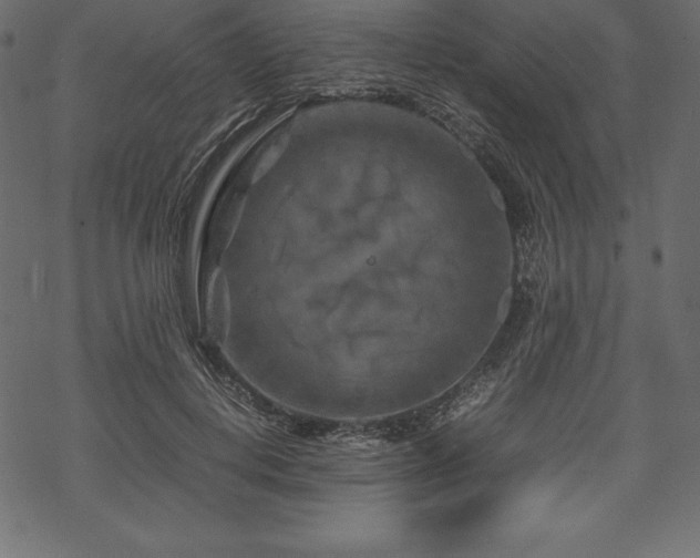 X0000070190648200605301314