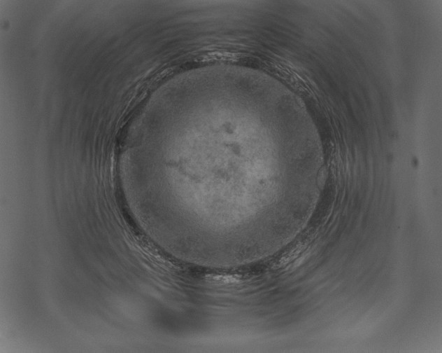 X0000070190649200605301314