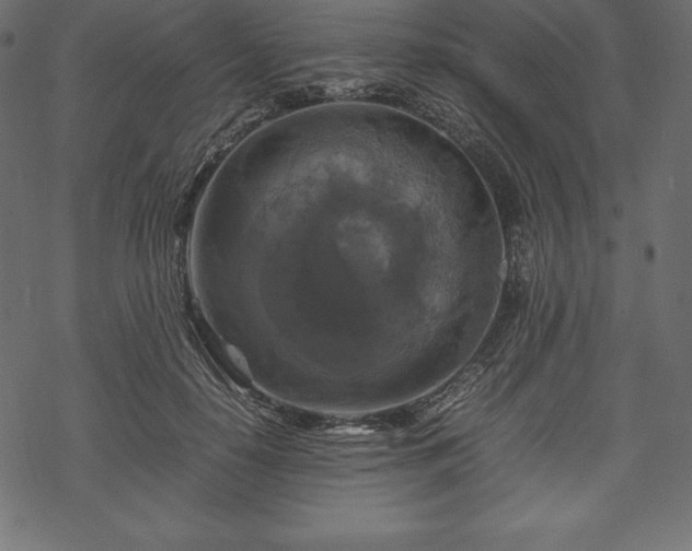 X0000070190650200605301314