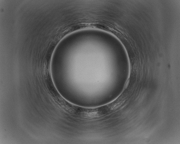 X0000070190651200605301314