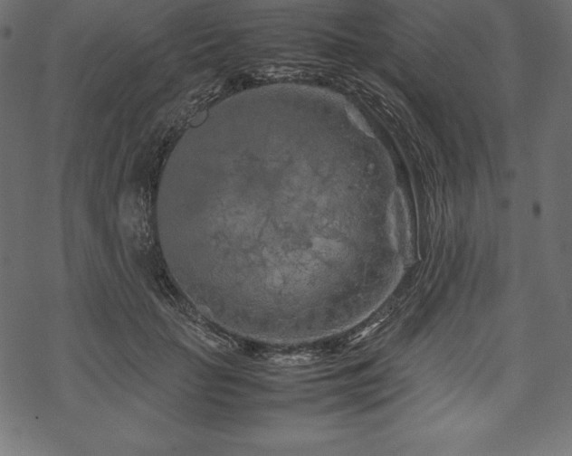 X0000070190653200605301314