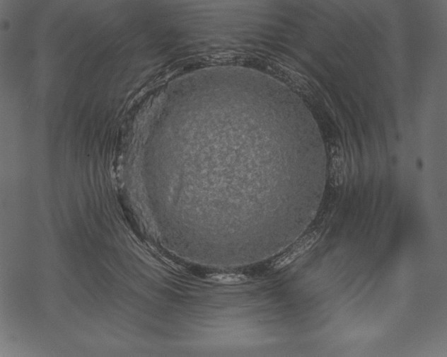 X0000070190654200605301314